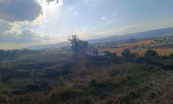 Bolu'da anız yangını ekipleri teyakkuza geçirdi