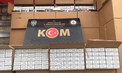 Düzce'de kaçakçılıklı mücadele sürüyor