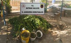 Kaçakçılık operasyonlarında çok sayıda kaçak ürün ele geçirildi
