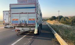 Kamyona çarpan kamyonetin sürücüsü hayatını kaybetti