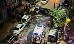 Kontrolden çıkan otomobil park halindeki 6 araca zarar verdi