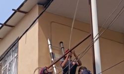 Tavana sıkışan güvercini itfaiye kurtardı