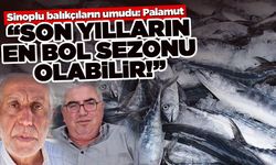 Sinoplu balıkçıların umudu: Palamut!