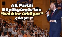 AK Partili Büyükgümüş’ten “balıklar ürküyor” çıkışı!