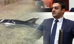 Karadeniz: "Sinop bir kez daha yüreğinin güzelliğini gösterdi"