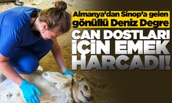 Sinop’ta bir ay boyunca can dostlar için emek verdi