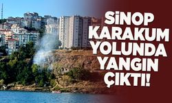 Sinop Karakum yolunda otluk alanda yangın!