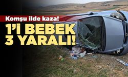Otomobil şarampole devrildi: 1'i bebek 3 yaralı