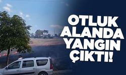 İlçede otluk alanda yangın çıktı!