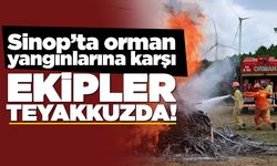 Sinop’ta orman yangınlarına karşı seferberlik