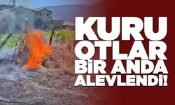 Kuru otlar bir anda alevlendi