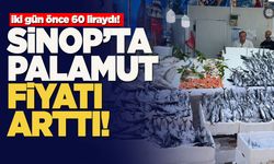 Sinop’ta palamut fiyatları fırtınayla yükseldi