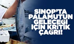 Sinop'ta palamut stoklarını korumak için av yasağı!