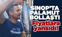 Sinop'ta palamut bolluğu fiyatlara yansıdı!