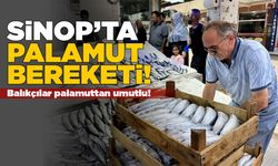 Sinop'ta palamut sezonu bereketli başladı