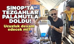Sinop’ta palamut sezonu bollukla başladı