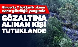 Sinop'ta orman yangınına neden olan kişi tutuklandı