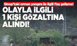 Sinop’taki orman yangınıyla ilgili 1 kişi gözaltına alındı