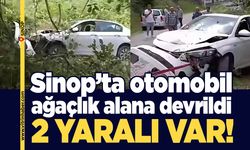 Kazada otomobil ağaçlık alana devrildi