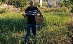 Ürünler dalda kaldı, o paylaşmayı seçti