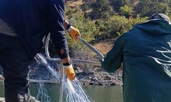 Sinop’ta su ürünleri denetimi: 600 metre ağ toplandı