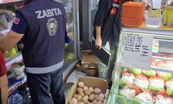 Gıda denetimleri yapıldı