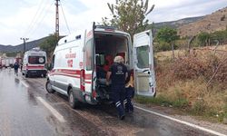İki kamyonet çarpıştı