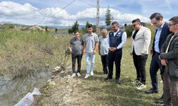 Sazan popülasyonu için 2 bin yavru salındı