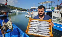 Sinop'ta tezgahları balık çeşitleri reklendirdi