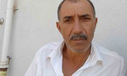 Arı sokması ardından hayatını kaybetti