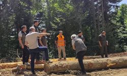 Bolu'da ormancılık faaliyetlerine denetim