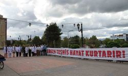 Çarşamba Tarihi Köprü'de Halk Sağlığı Haftası farkındalığı