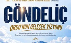 Göndeliç Dağı'na yeni kış turizmi merkezi