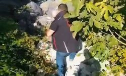 Kaçak avcılık düzenekleri imha edildi