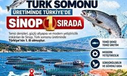 Sinop, Türk Somonu üretiminde zirvede!