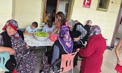 Sinop'ta çocuk ve yaşlılar birlikte turşu kurdu
