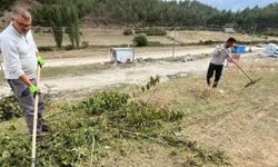 Sinop'un geleneksel panayırına sayılı günler kaldı!