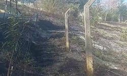 Yangın mezarlara zarar verdi