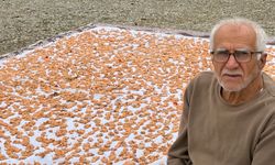 Geleneksel tarhana hazırlıkları başladı
