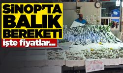 Sinop’taki tezgahlarda balık bolluğu! İşte fiyatlar…