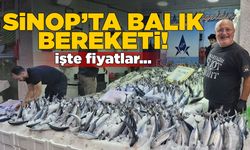 Hamsi ve palamut tezgahlarda