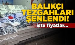 Sinop’ta balıkçı tezgahlarında bolluk var!