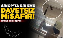 Eve giren davetsiz misafir itfaiyeyi teyakkuza geçirdi