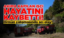 Elektrik akımına kapılan orman işçisi öldü