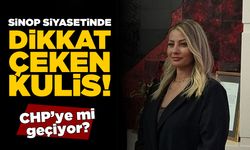 Sinoplu siyasetçi Dilek Mutluer CHP’ye mi geçiyor?