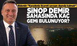 Sinop'ta deniz trafiği gündemde