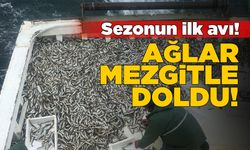 Sezonun ilk balık avında ağlar mezgitle doldu