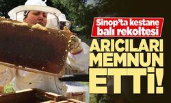 Coğrafi işaretli Sinop Kestane Balında bereketli sezon