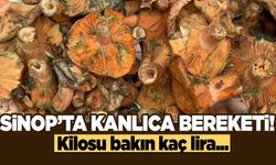 Cuma Pazarı’nda kanlıca mantarı bereketi