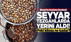 Sinop’ta kestane bereketi
